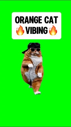 ORANGE CAT VIBING
