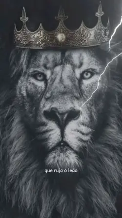 Que rua o leão 
