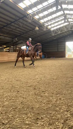 no horse was harmed.
