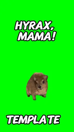Hyrax Mama