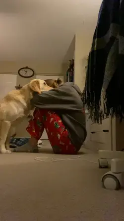 Amor de pet