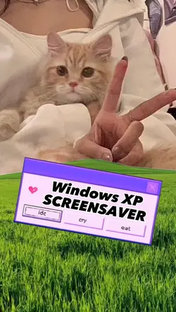 Windows screensaver 
