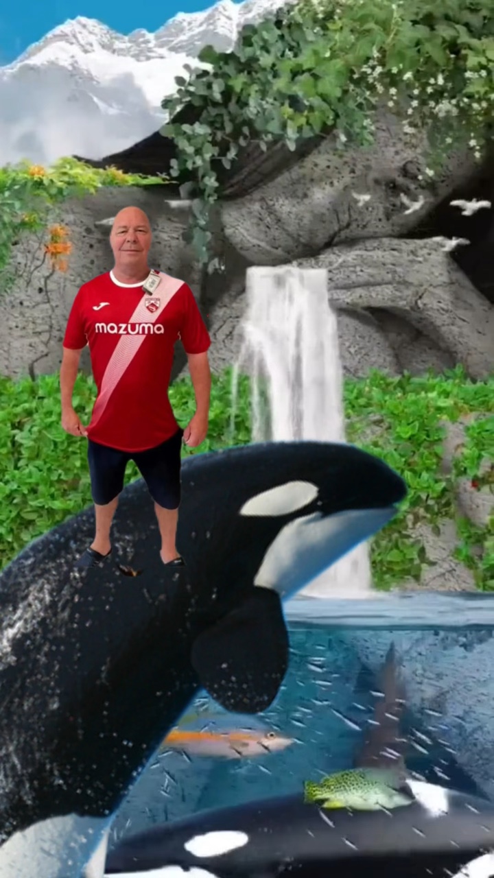 Fish meme
