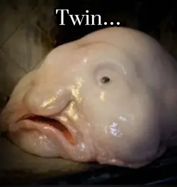 Twin