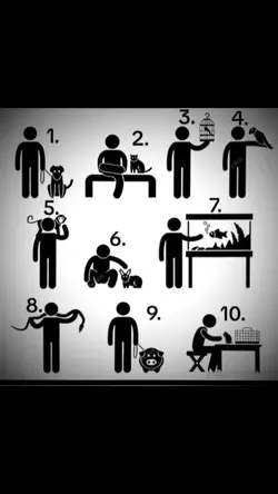 bichin de estimação