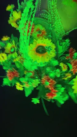 fashion film
