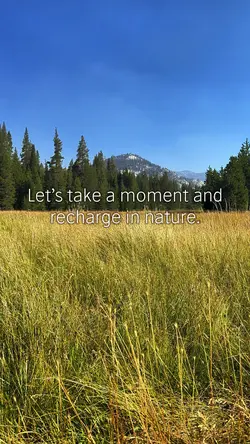 Recharge in nature