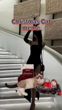 Xmas Cat Meme