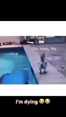 ✨fLoAtAtIoN dEvIcE✨