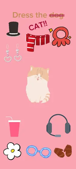 Dress the d̶o̶g̶ CAT