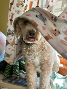 Mon bébé