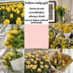 Yellow tulip girl