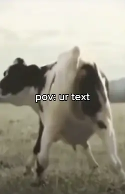 Cows dancing