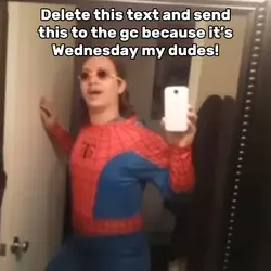 Wednesday My Dudes