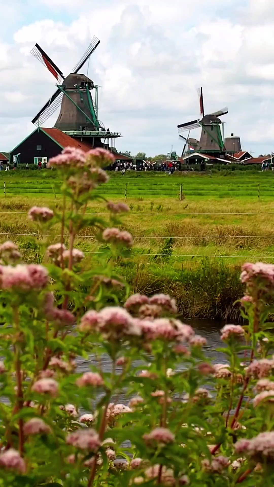 Niederlande reisen.