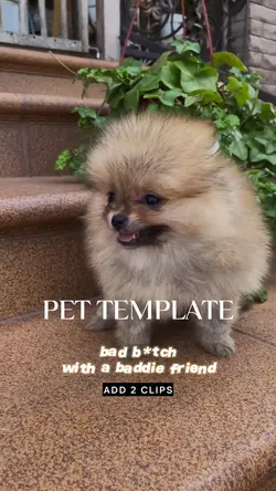 baddie friend /pets