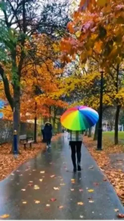 Halki halki barish ☔️