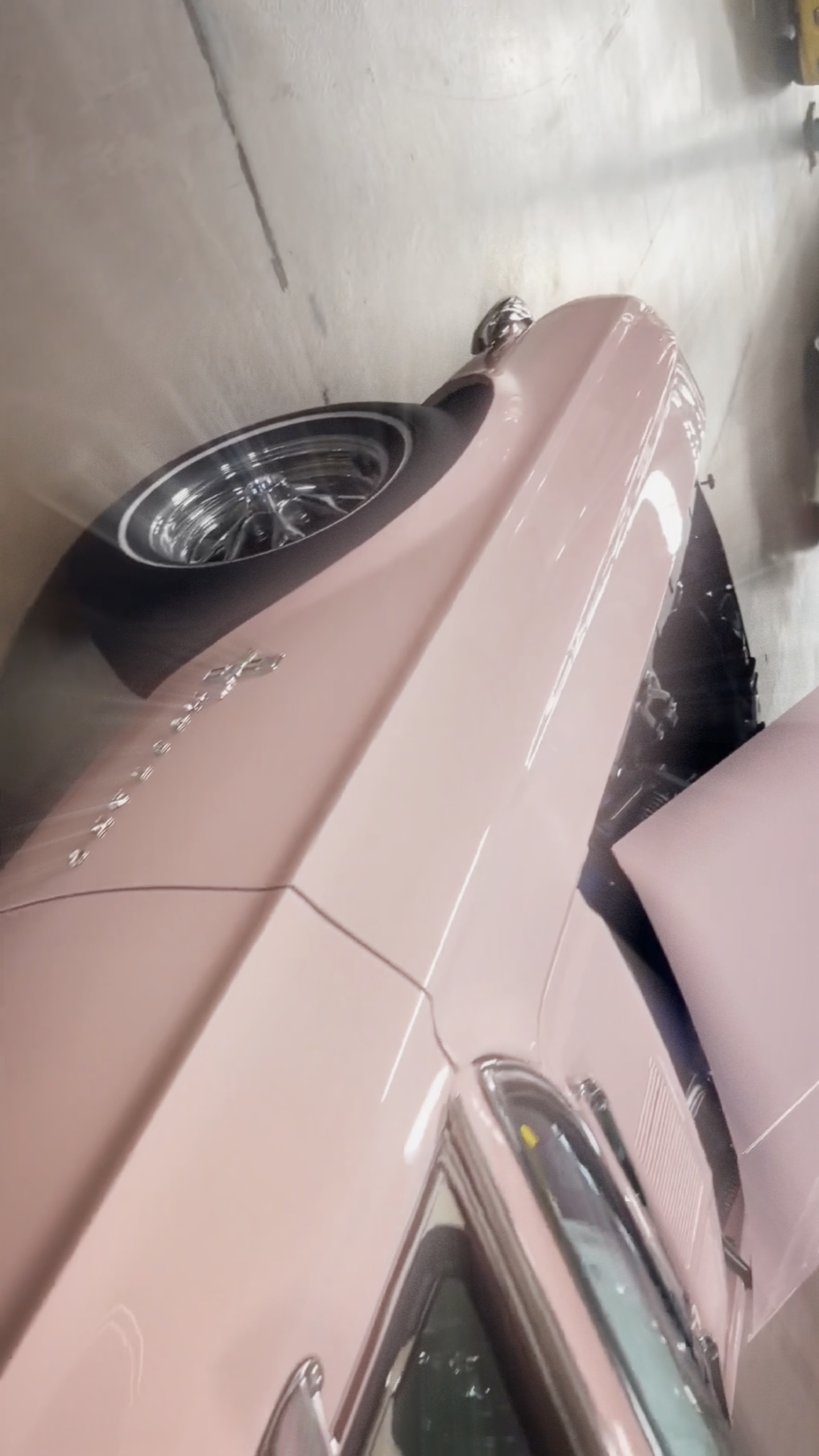 Pink 69 f-back edit