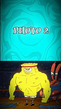 Sigma SpongeBo