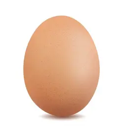YOU FOUND AN EGG