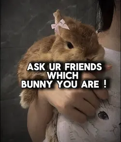 Bunny core 🎀🫶🏼