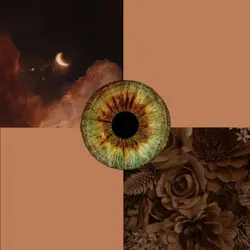brown/blue/hazel