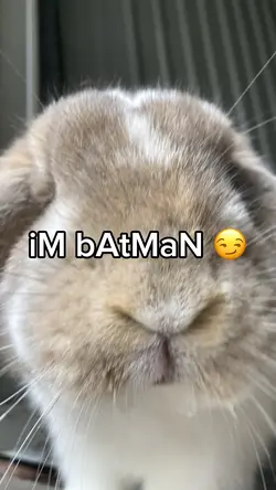 ✨iM bAtMaN✨