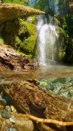 សូរិយាបំភ្លឺផែនដី