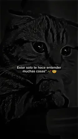 Frases sad