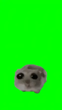 Sad Hamster meme 