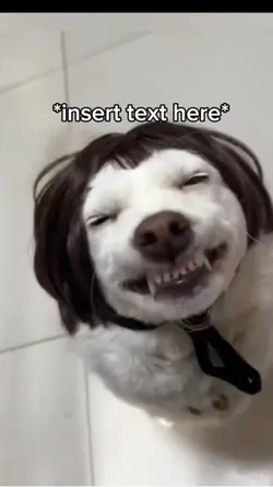 Happy Dog Meme