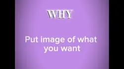 “Who tf is Ava?”