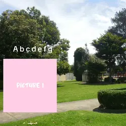 GUMMY BEARS ARE CHAS