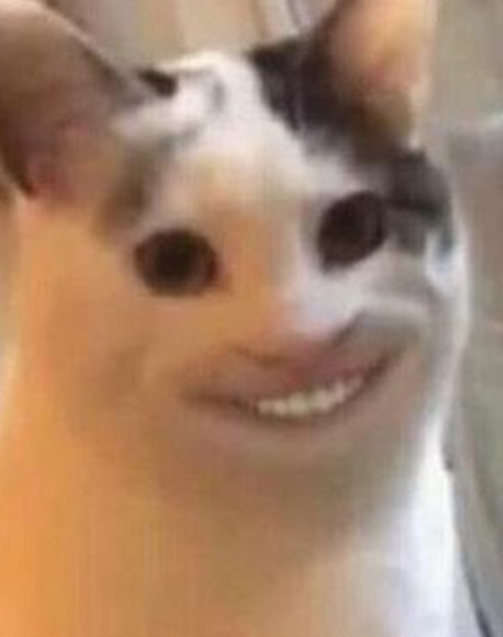 liberado: Lucas neto