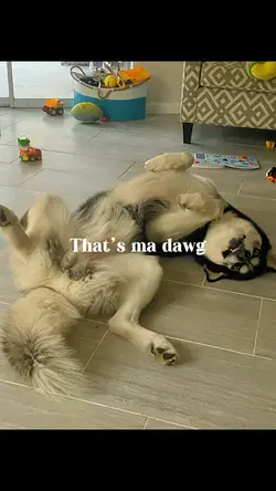 That’s ma dawg❗️