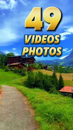 49 videos or photos