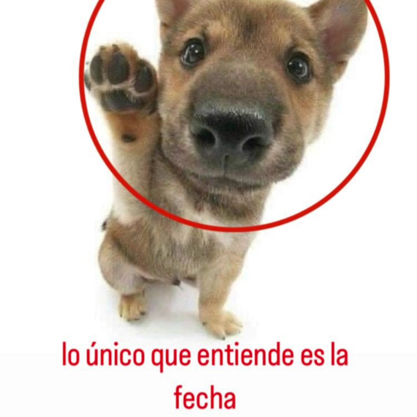 Por eso no tiene am-