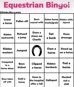 Horse bingo!