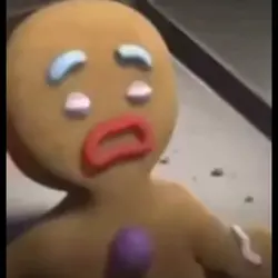 The MuFFiN MaN