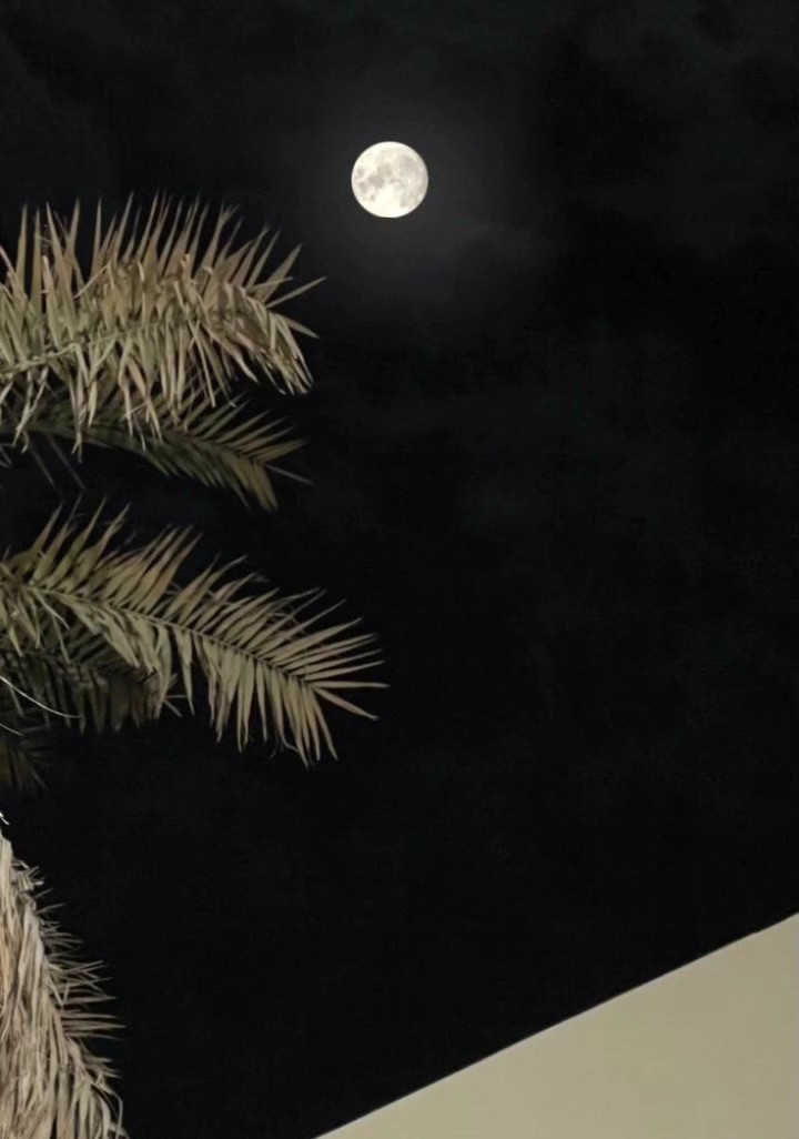 Fica em paz fofa 