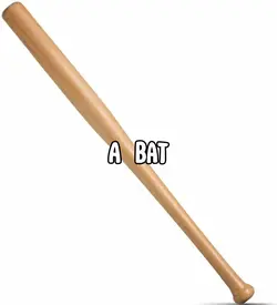 A rat