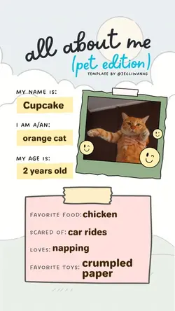 all about me (pet) π