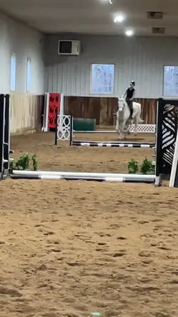 love again free rein