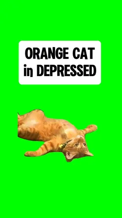 DEPRESSED ORANGE CAT