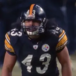 Free Troy Polamalu