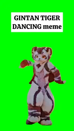 TIGER DANCING meme