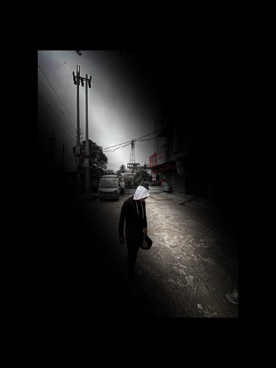 Cover Picture