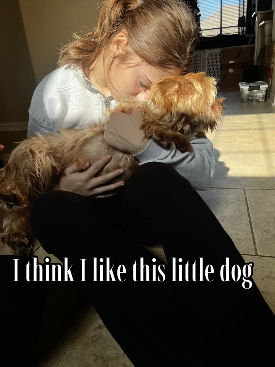 Little dog🤍🐕