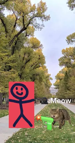 Crazy Cat Meme