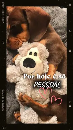 BOA NOITE